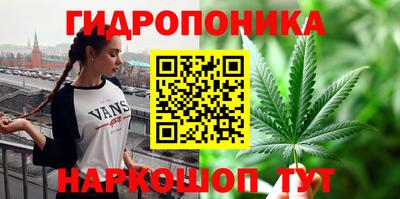 спиды Гусев