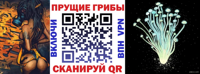 Галлюциногенные грибы MAGIC MUSHROOMS Дмитров