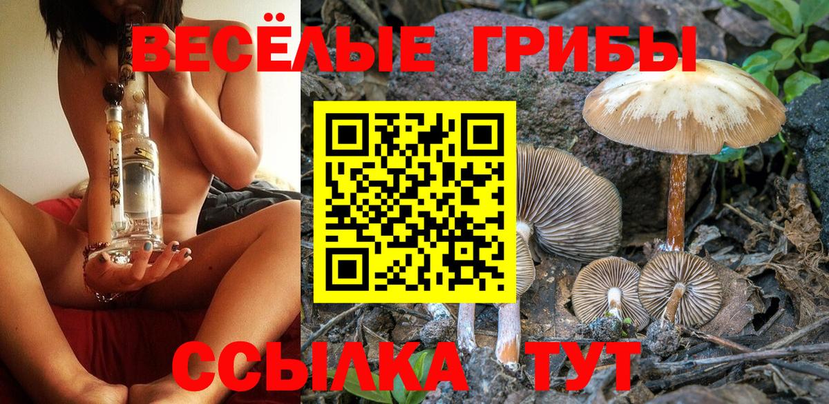 Галлюциногенные грибы Magic Shrooms Дмитров